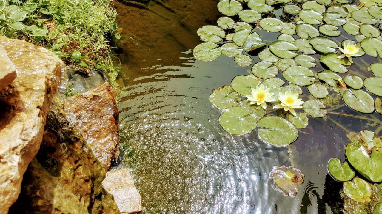 Villa Sanitas Текіргіол Екстер'єр фото